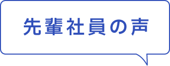 先輩社員の声